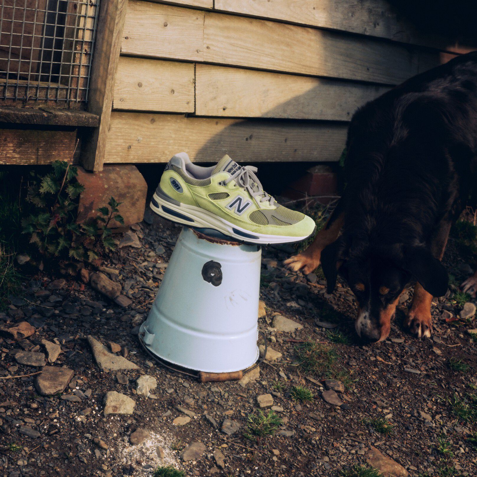 A New Balance Made in UK sneaker sitting on an upturned white bucket in a rustic farm environment next to a dog with dirt and leaves on the ground and an old shed with weatherboard cladding behind. 